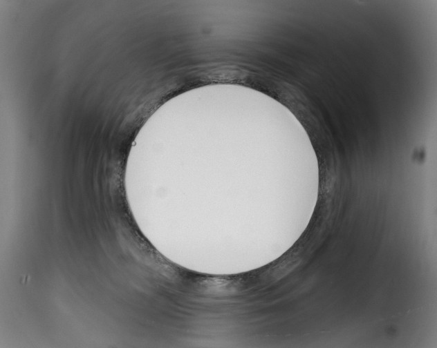 X0000114200326200911201006