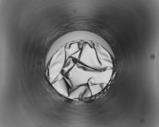 X0000114200327200911201006