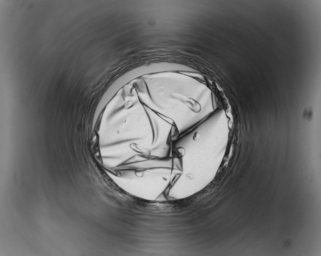 X0000114200328200911201006