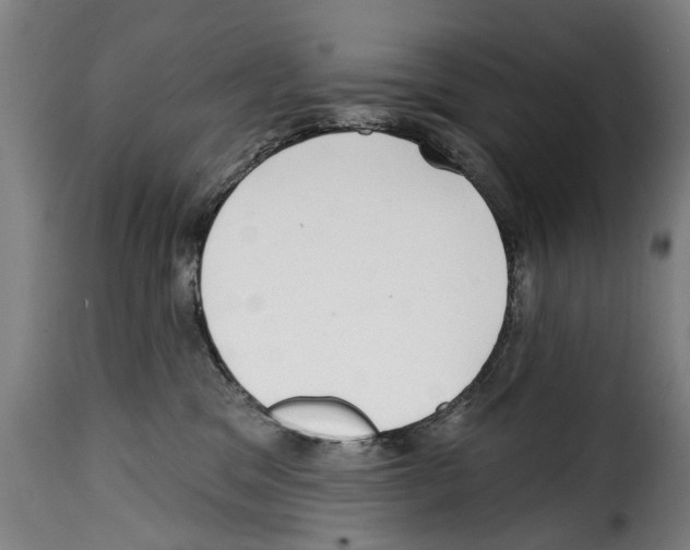 X0000114200329200911201006