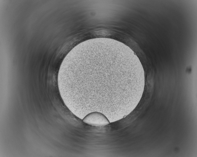 X0000114200330200911201006