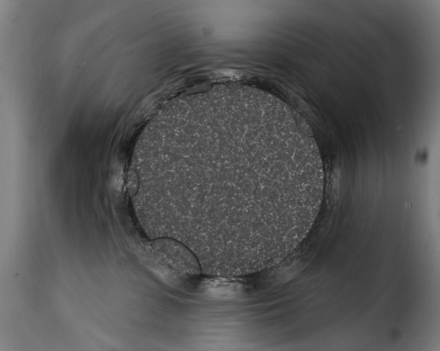 X0000114200331200911201006