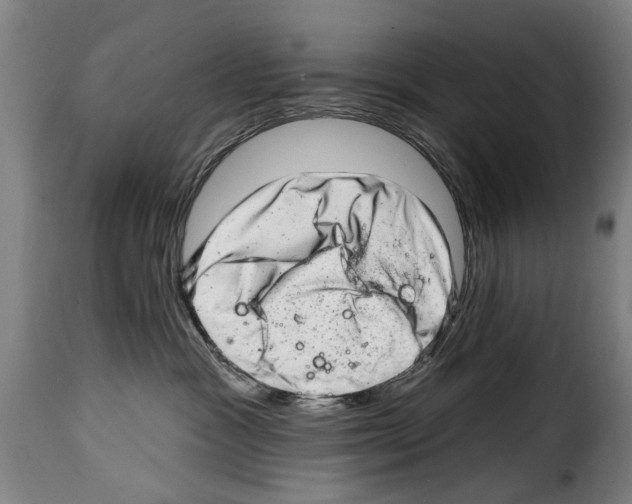 X0000114200333200911201006