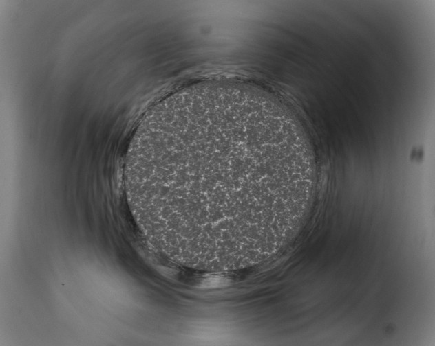 X0000114200335200911201006