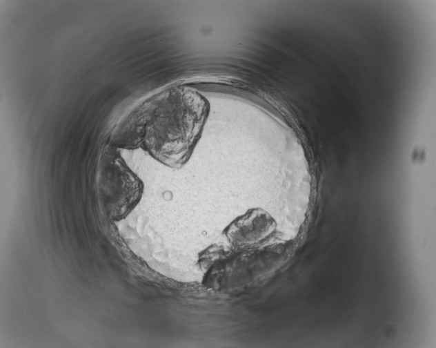 X0000114200337200911201005