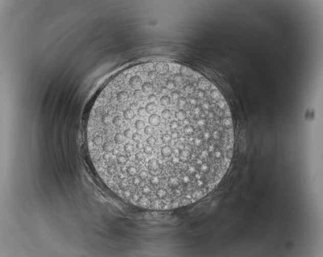 X0000114200338200911201005