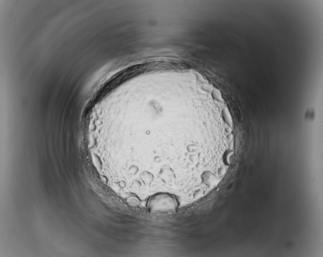 X0000114200339200911201005