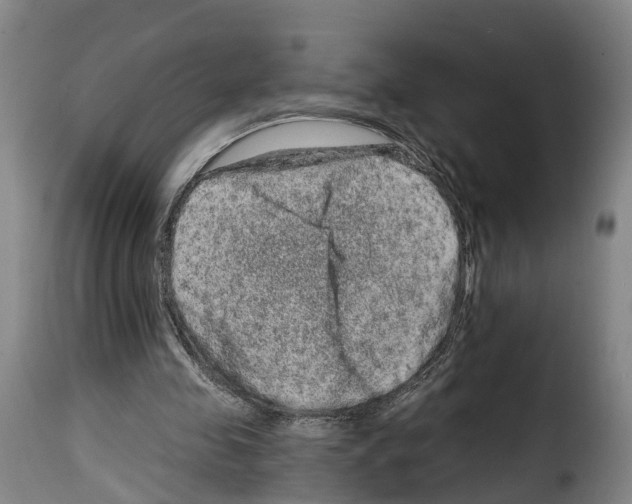 X0000114200341200911201005