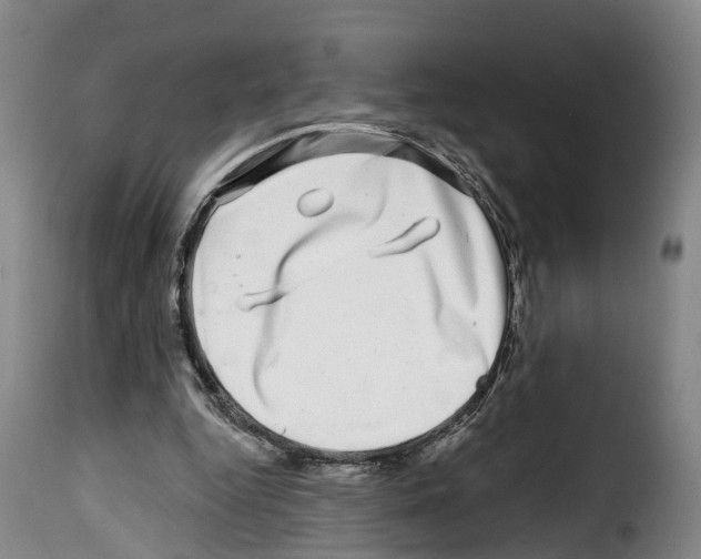 X0000114200344200911201005