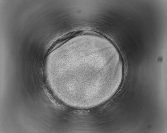 X0000114200345200911201005