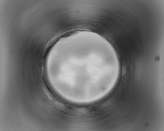 X0000114200349200911201005