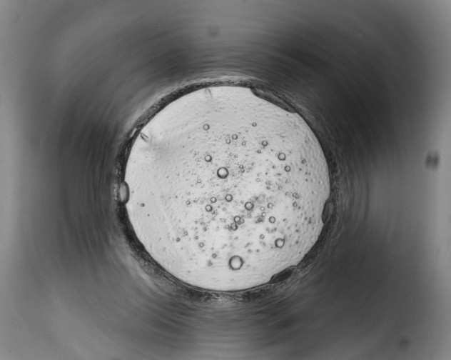 X0000114200350200911201005