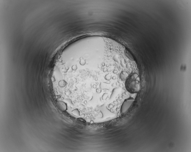 X0000114200351200911201005