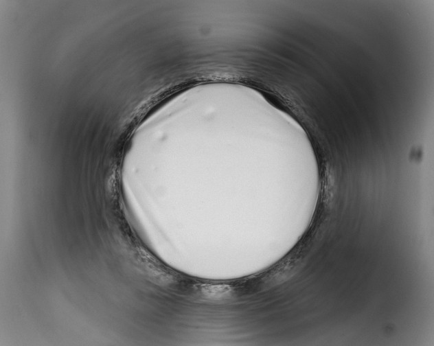 X0000114200355200911201005