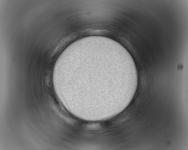 X0000114200357200911201005