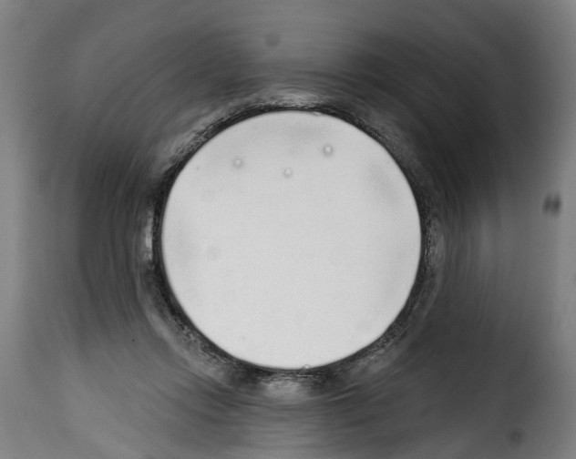 X0000114200358200911201005