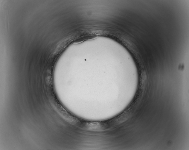 X0000114200361200911201005