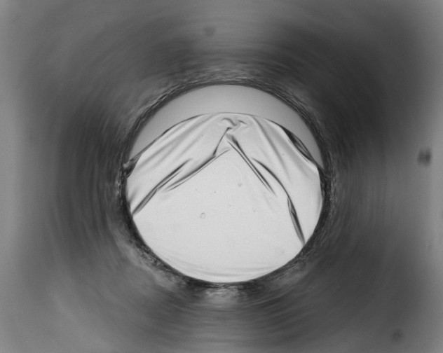 X0000114200362200911201005