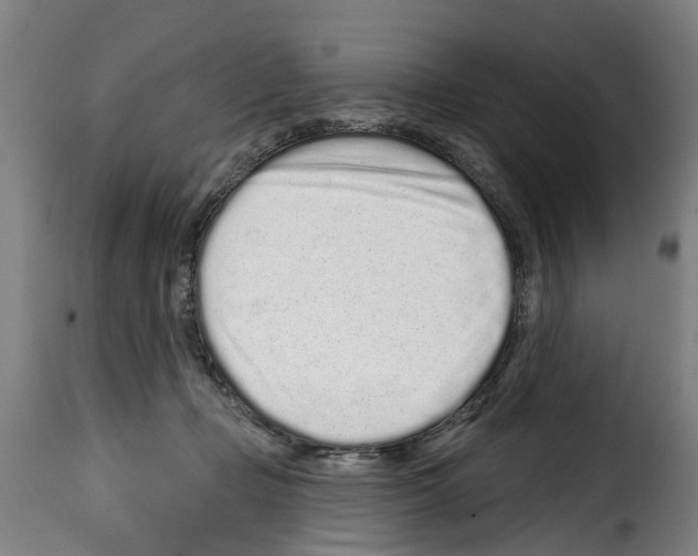 X0000114200365200911201005