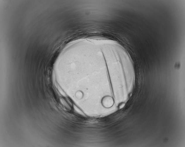 X0000114200366200911201005