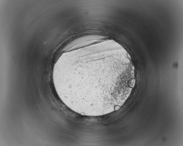 X0000114200370200911201005