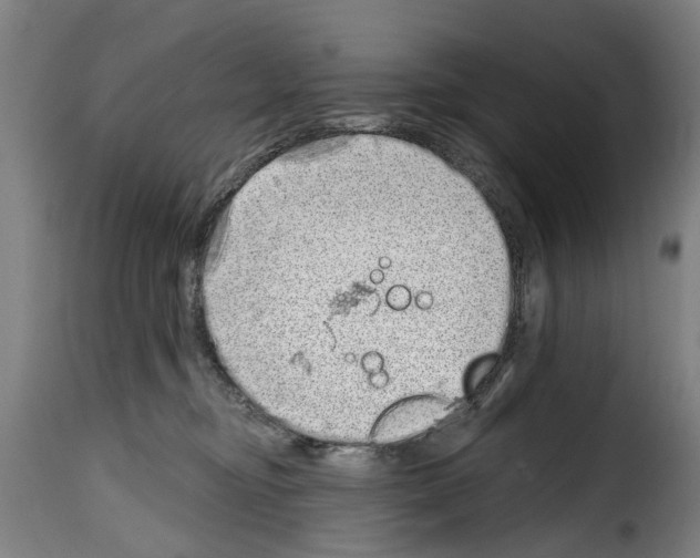 X0000114200374200911201005