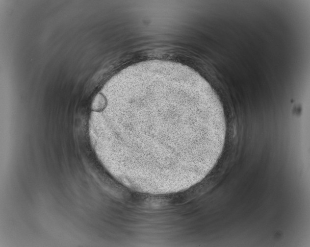 X0000114200375200911201005