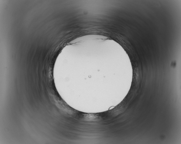 X0000114200380200911201006