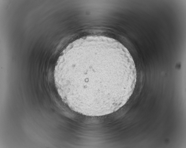 X0000114200381200911201006