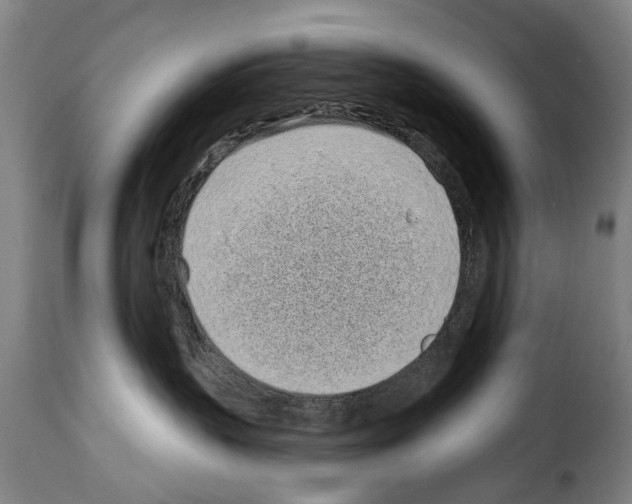 X0000114200383200911201006