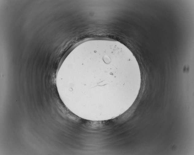 X0000114200384200911201006