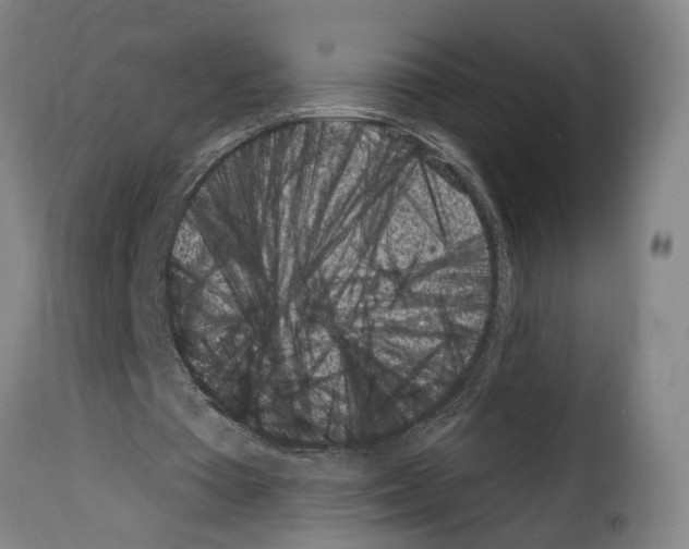 X0000114200385200911201005