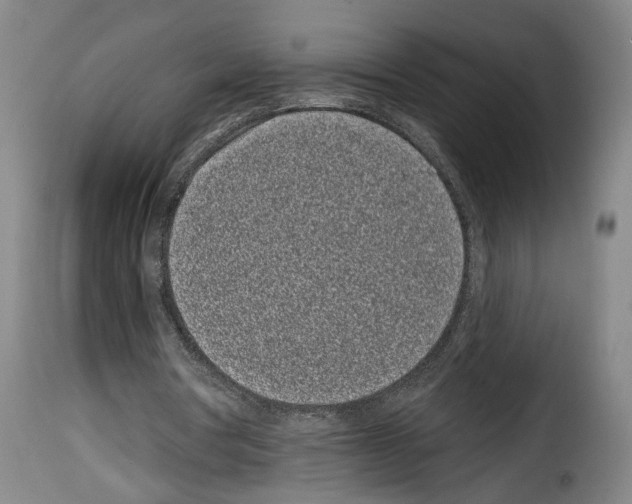 X0000114200386200911201005