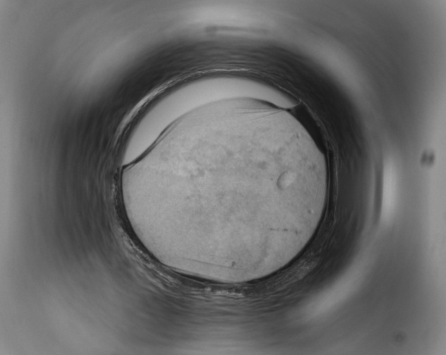 X0000114200387200911201005