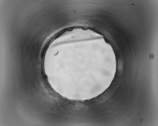 X0000114200388200911201005