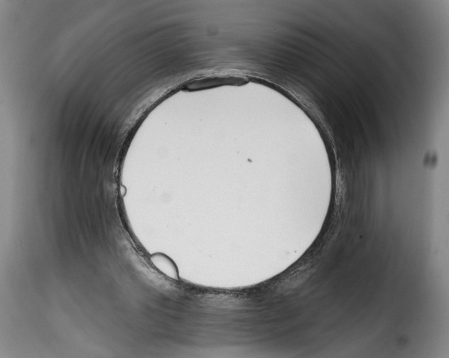 X0000114200389200911201005