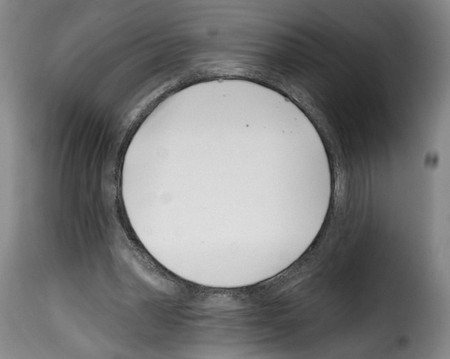 X0000114200390200911201005