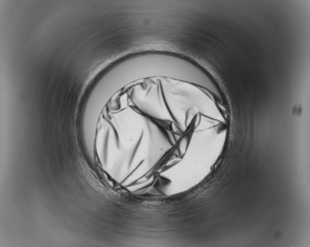 X0000114200391200911201005