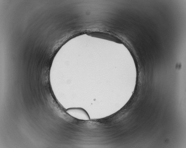 X0000114200393200911201005