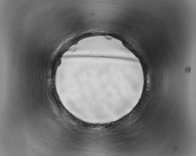 X0000114200396200911201005