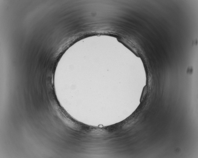 X0000114200397200911201005