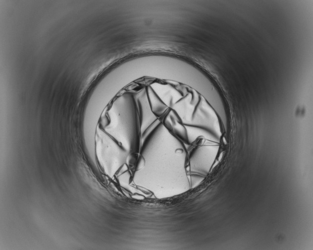 X0000114200399200911201005