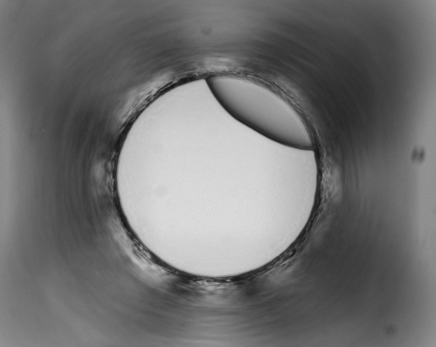 X0000114200401200911201005