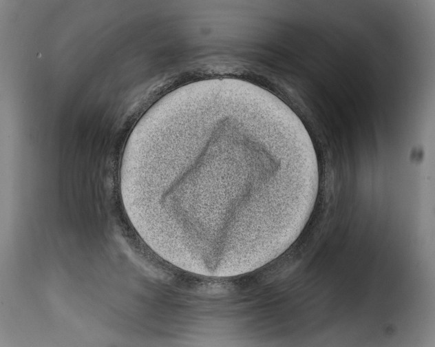 X0000114200402200911201005