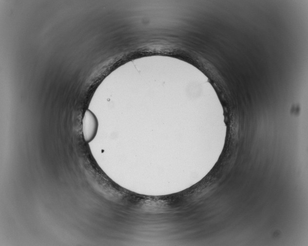 X0000114200403200911201005