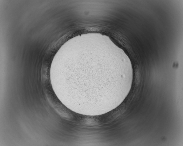 X0000114200406200911201004