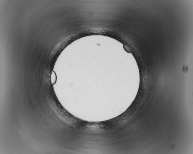 X0000114200407200911201004