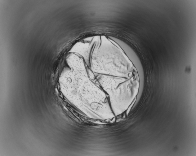 X0000114200411200911201004