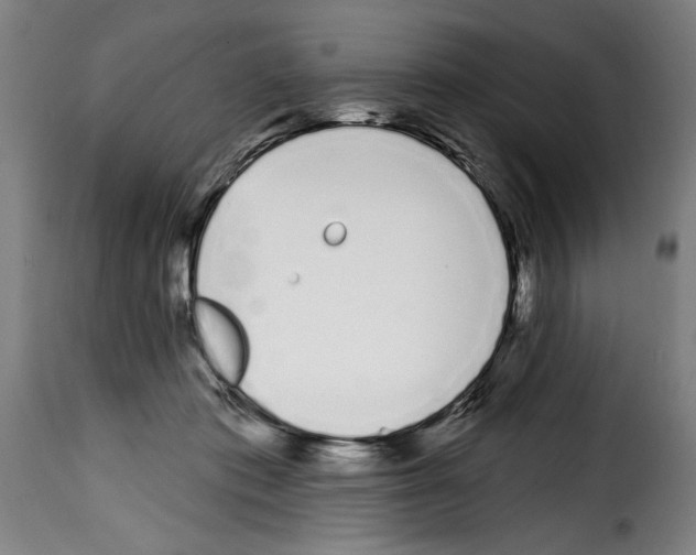 X0000114200413200911201004