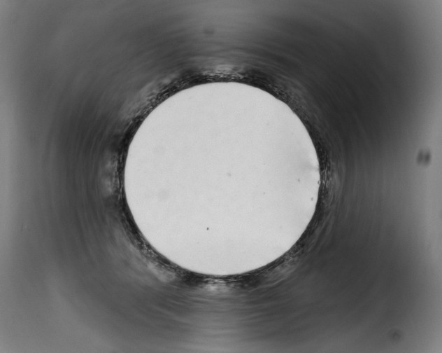 X0000114200416200911201004